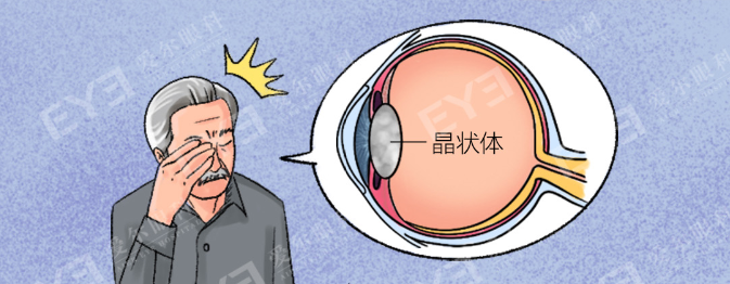 微信图片_20240704155725.png
