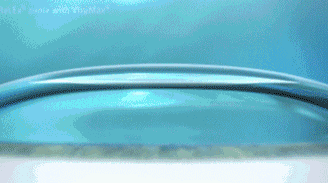 640.gif 640.gif